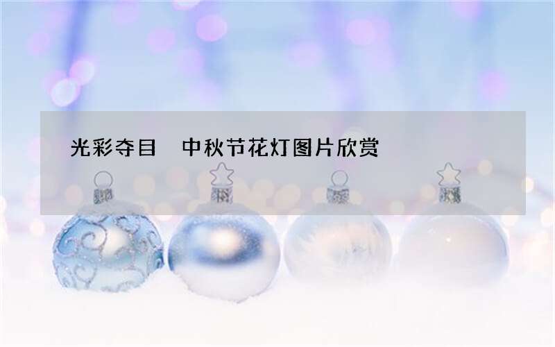 光彩夺目 中秋节花灯图片欣赏